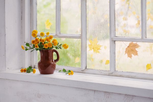 Arched Window Repair