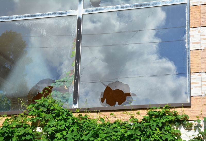 Glass Pane Replacement